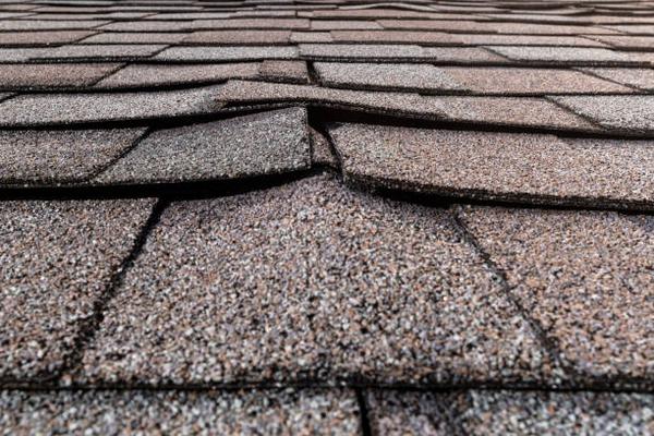 Signs You Need a Roof Replacement in Gainesville: What to Look For